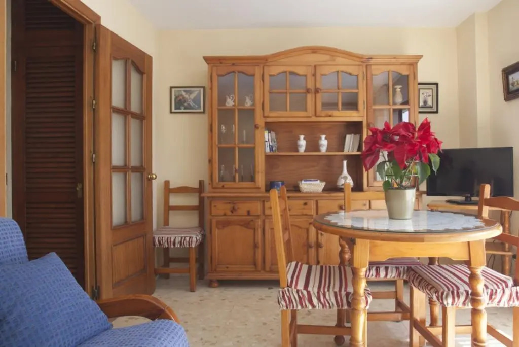 Apartment in Malaga 101679