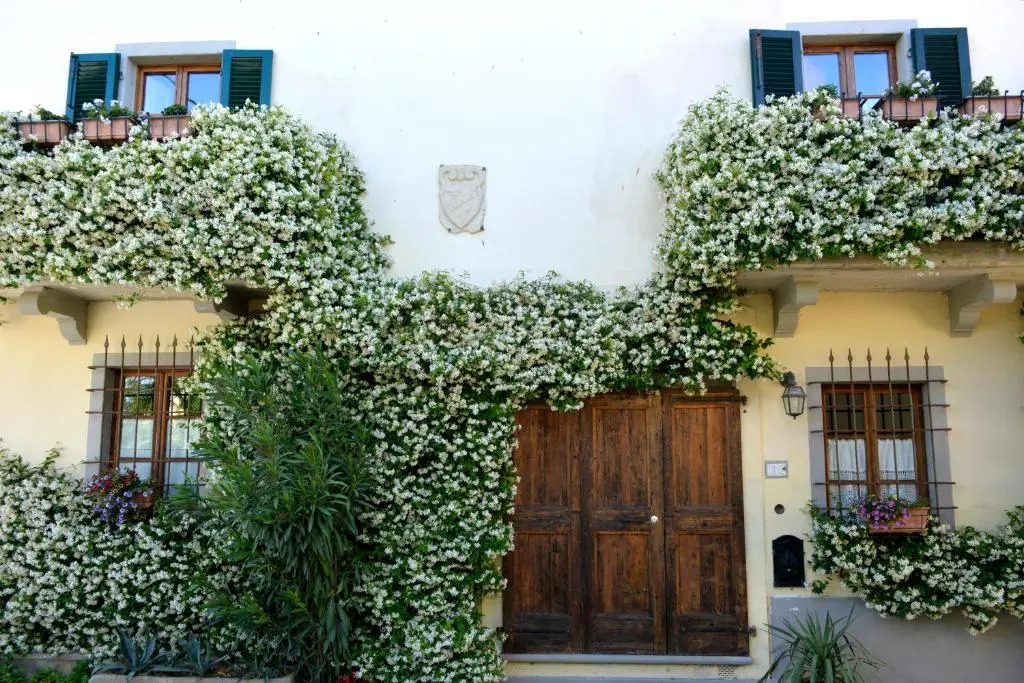 Borgo dei Cadolingi