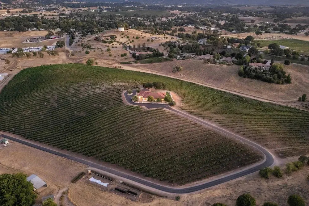 Wine Country Escape w/ Views + Wine Cellar & Gym Caterina Dusi Vineyard by Avantstay