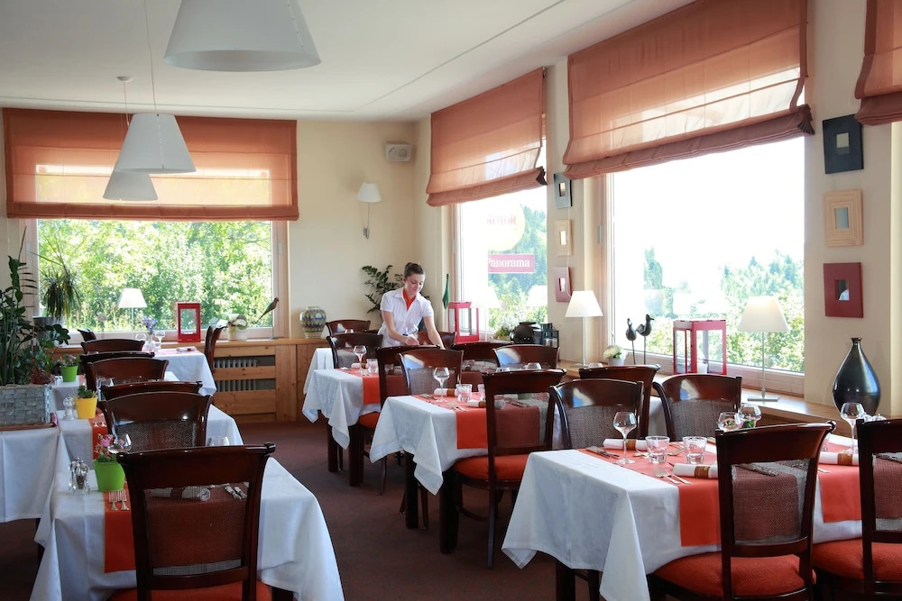 Logis Hôtel Restaurant Panorama