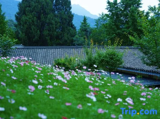 Pema Qingcheng Hotel