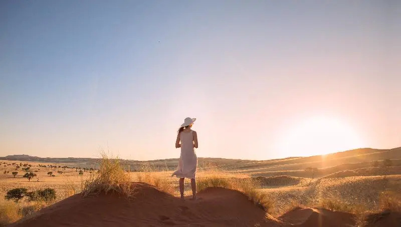 Desert Whisper