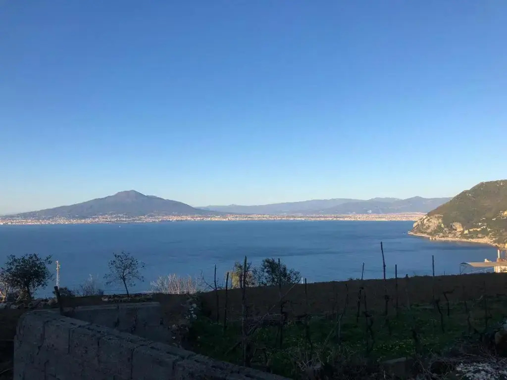 ANTICA TENUTA CELOTTO