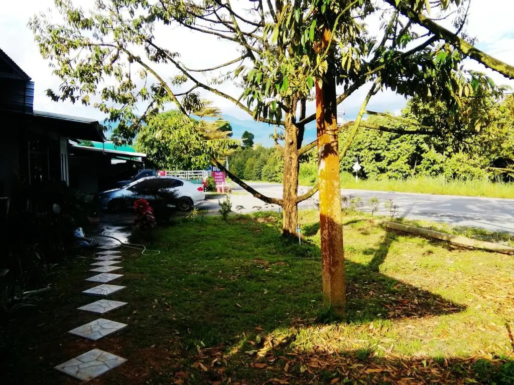 WildernessMountain View