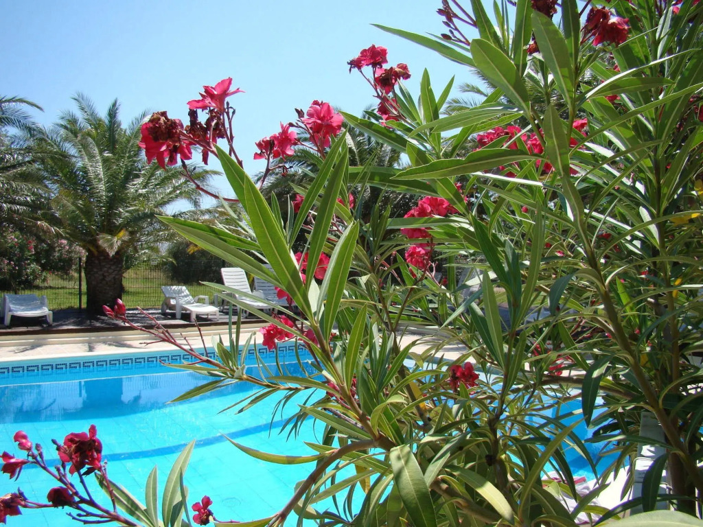 Tropic Hôtel