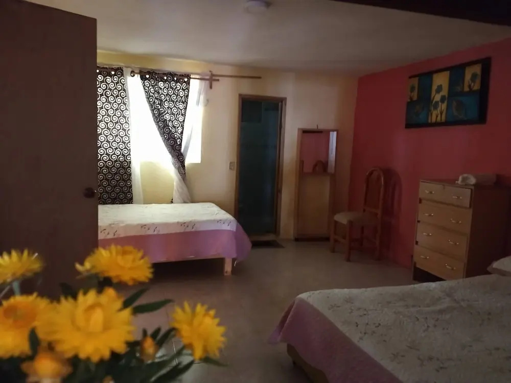 Nice Apartment Near The Center Ground Floor