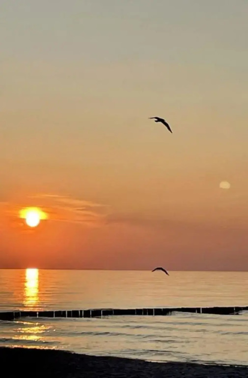 Marina del Mar Zingst