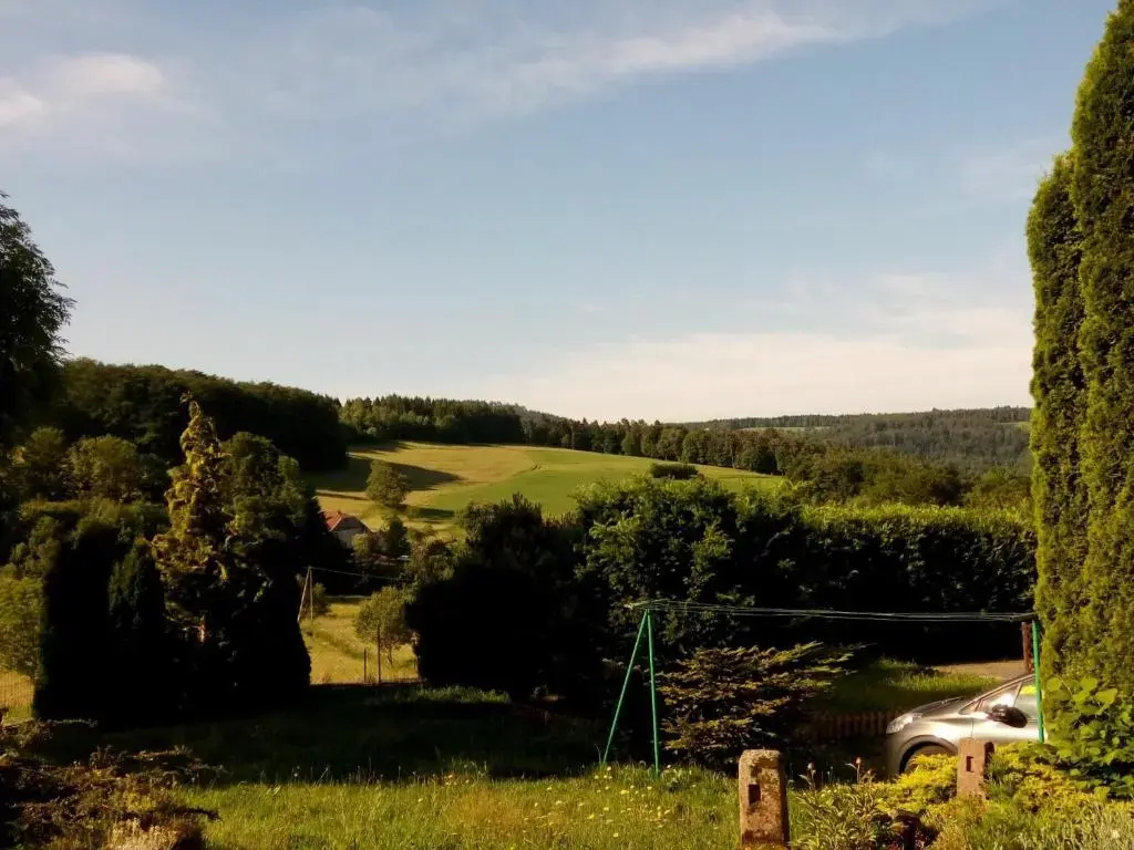 Gîte rustique à Laveline-du-Houx, proche forêt - FR-1-589-141