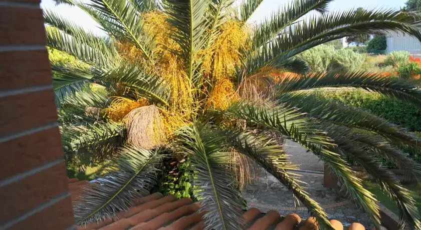 Agriturismo Villa Isa
