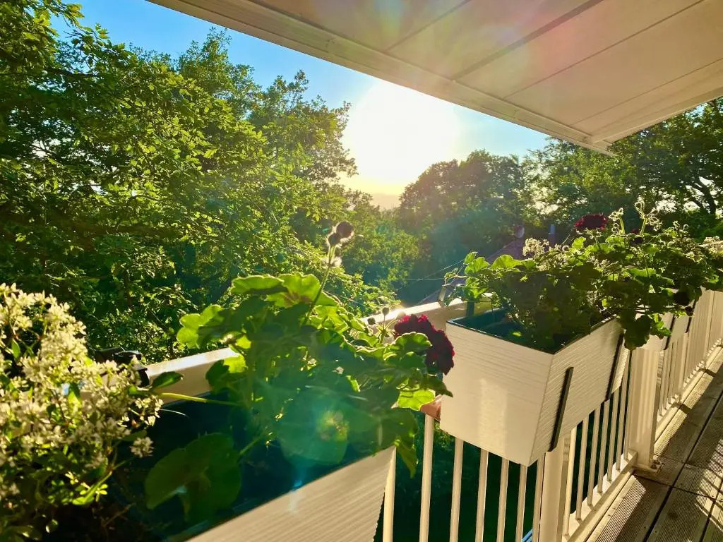Ferienwohnung Natur und Kunst