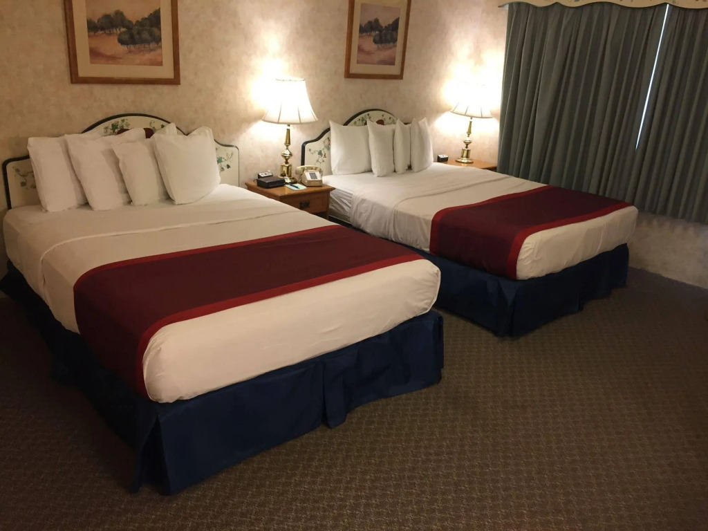 Swiss Alps Inn