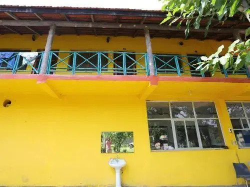 Bandhavgarh 365