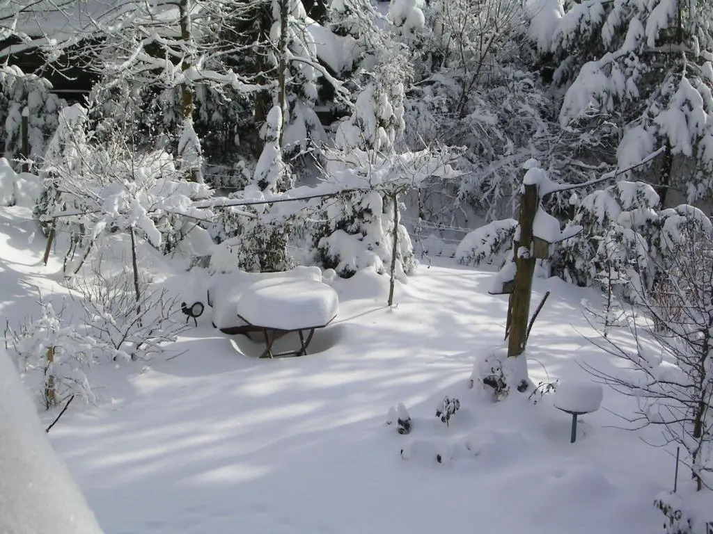 Ferienwohnung im Harz-Haus-Bruns