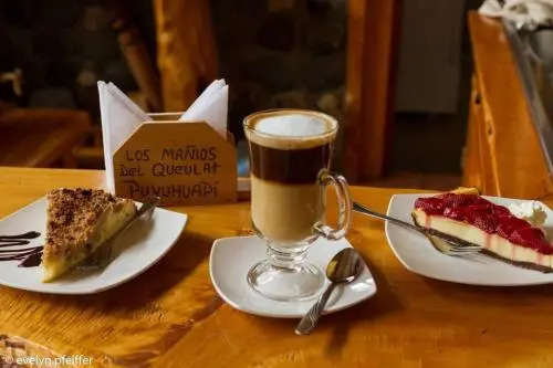 Los Mañíos Del Queulat