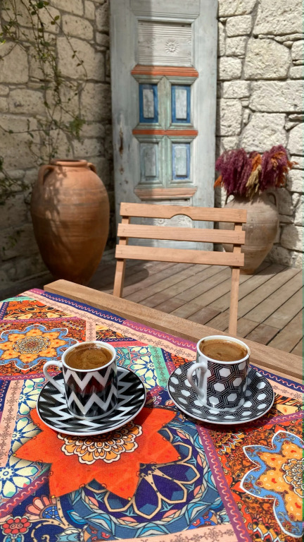 Atli Ev Alacati
