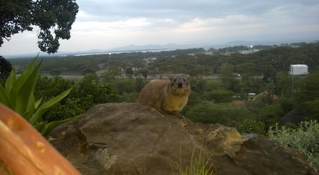 Lake Naivasha Panorama Park