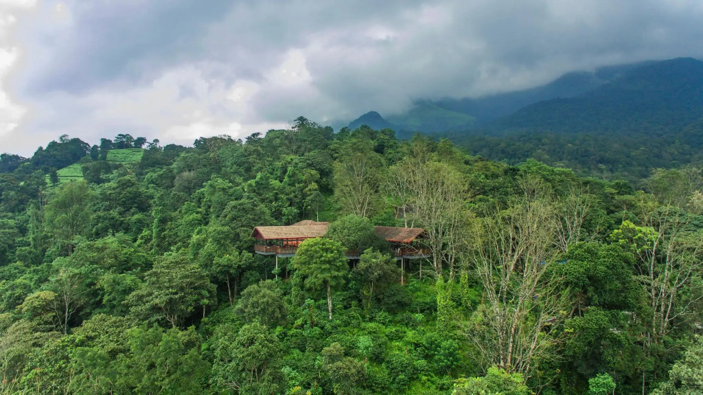 Vythiri Mist Resort