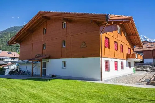 Chalet Gousweid- Harder Apartment