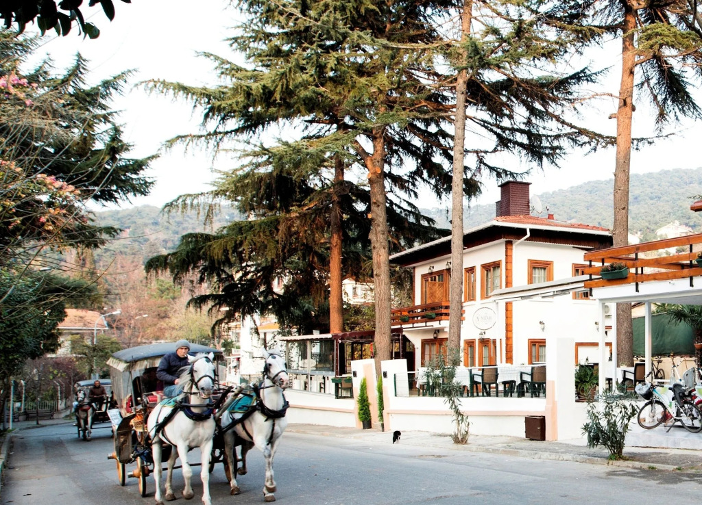 Nizam Butik Otel Büyükada