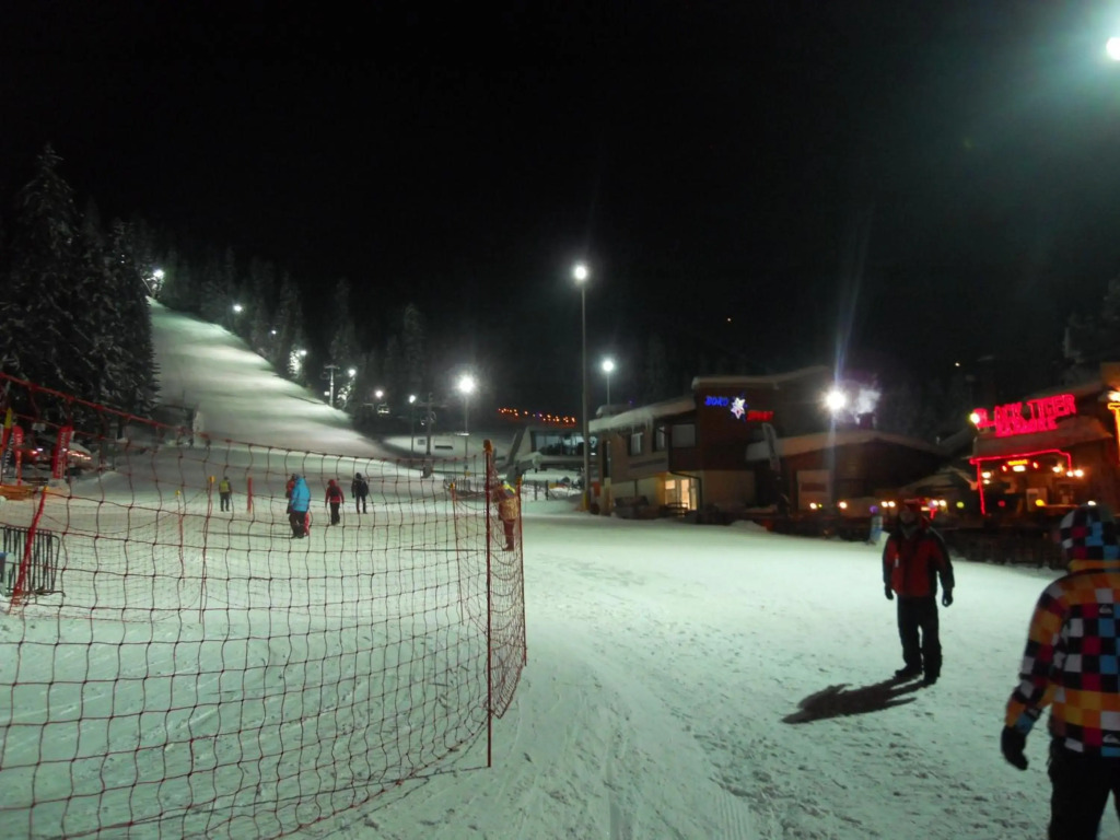 Flora Ski-slope Studio Apartment