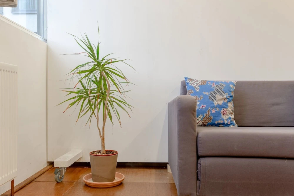 Bright Flat Near Shoreditch