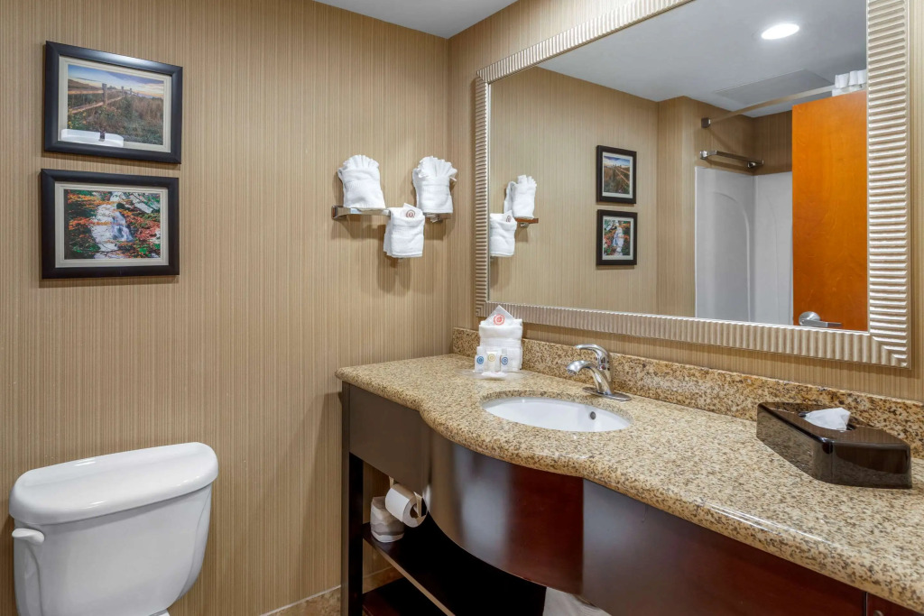 Comfort Suites Knoxville North