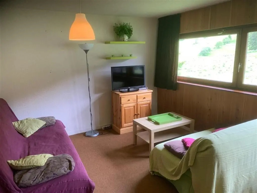 Appartement Mont-Dore, 2 pièces, 4 personnes - FR-1-415-92