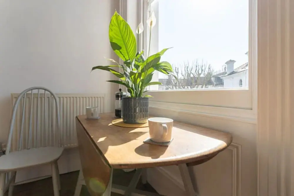 Host & Stay - Alexandra Villas