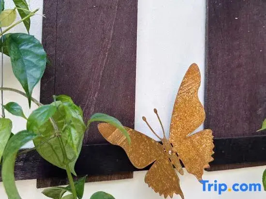 Thai Tom s GuestHouse