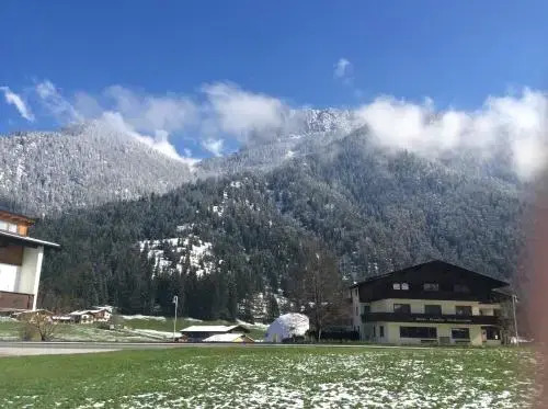 Glockenhof Olivier
