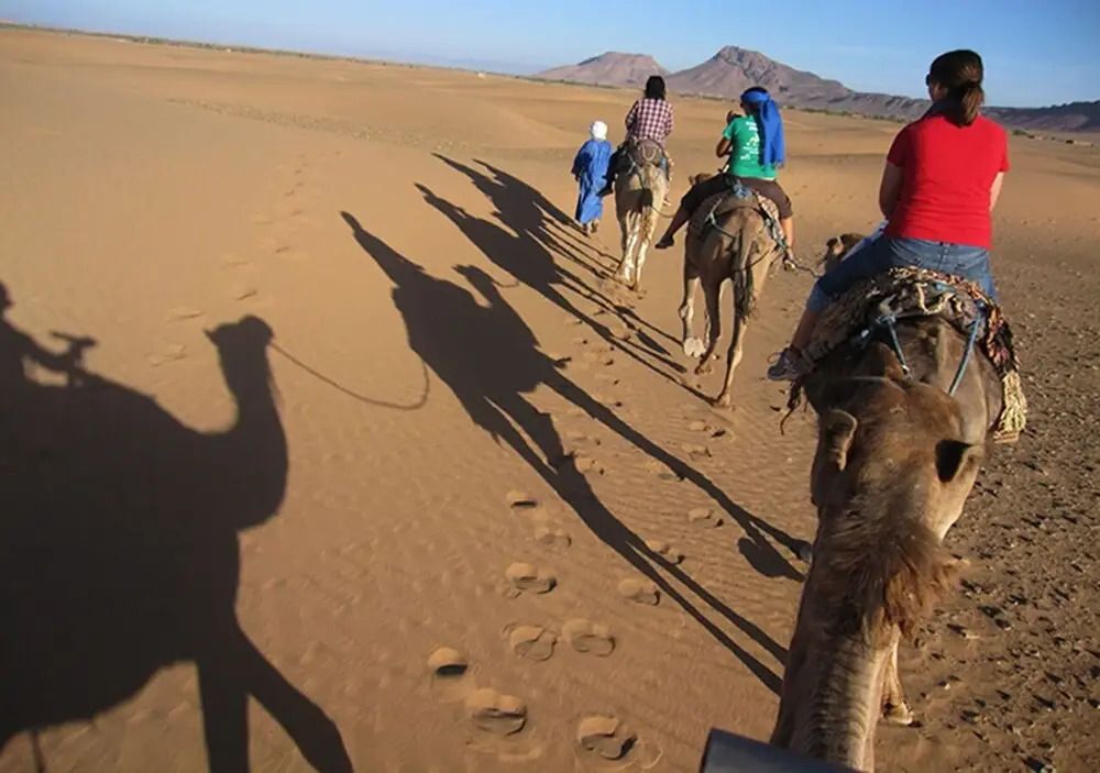 Sahara Relax Camps