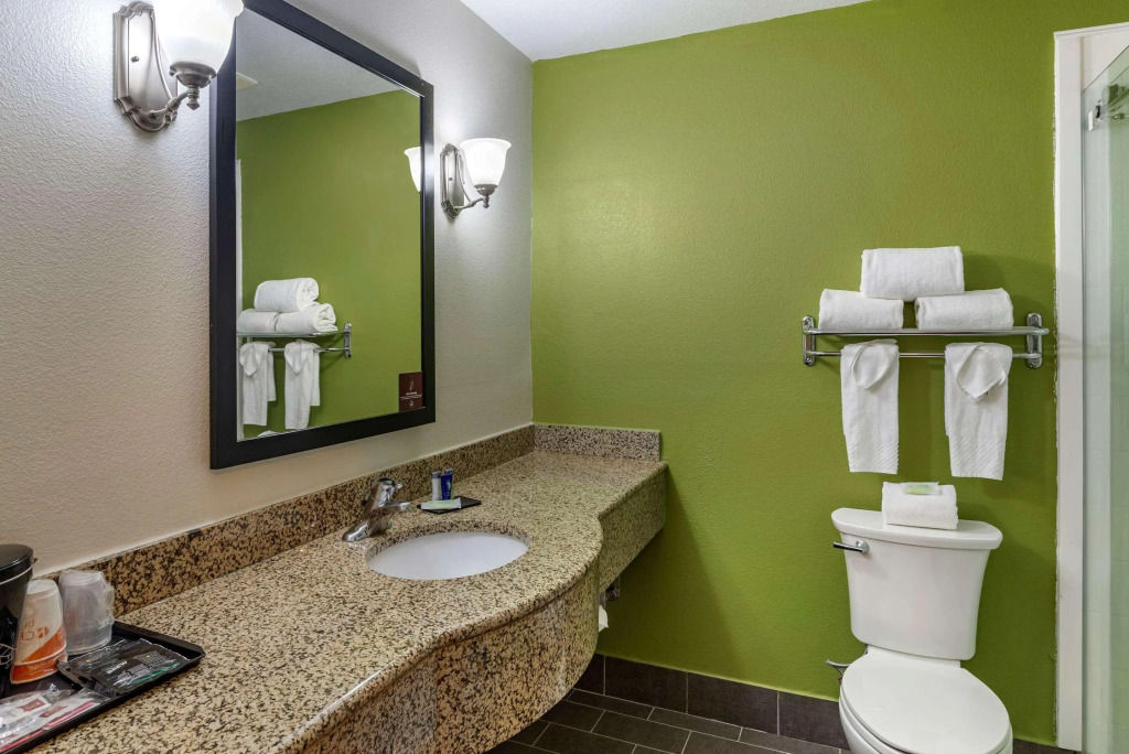 Sleep Inn & Suites Stockbridge Atlanta South