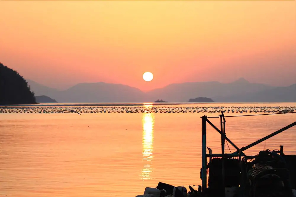 Geoje Seven Pension