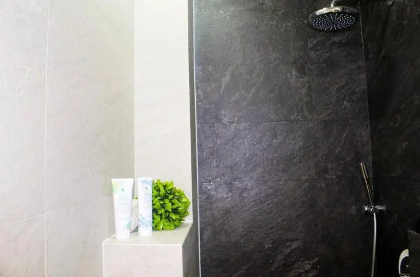Elegant apartment in the center of Sofia