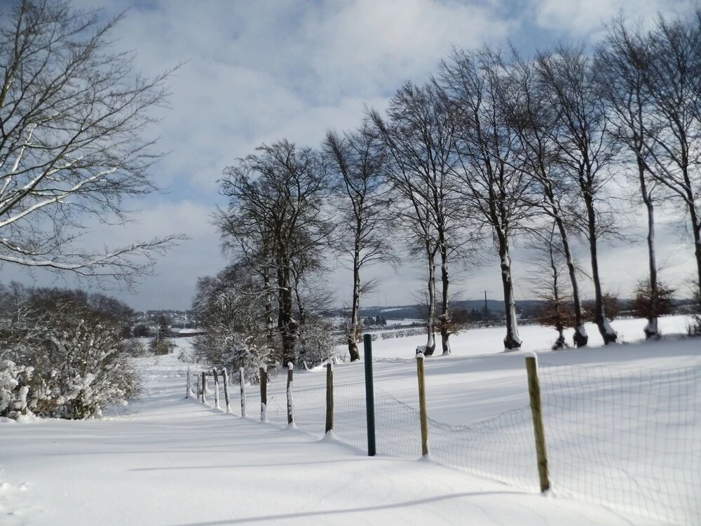 Classy Villa in Bllingen With High Fens and Town of Spa Nearby