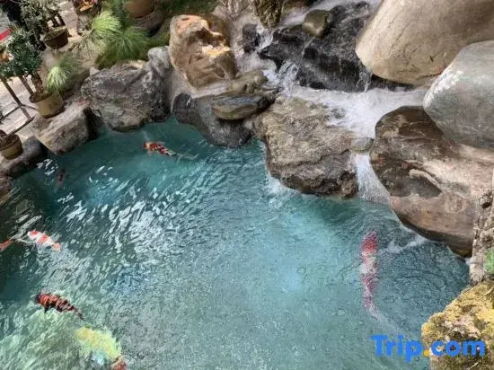 Tonghai Yuanheng Inn