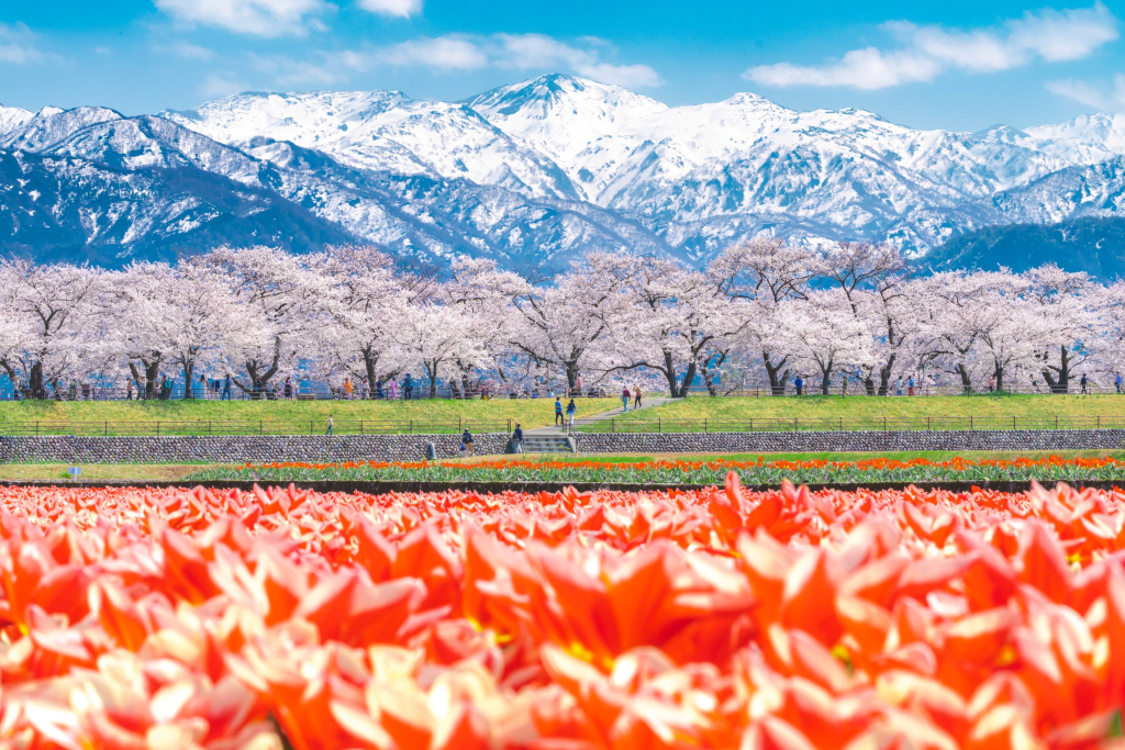 ANA Crowne Plaza Toyama by IHG