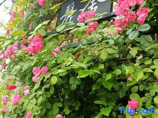 Flower Xianglishe (Dujiangyan Scenic Area Guanxian Ancient City Branch)