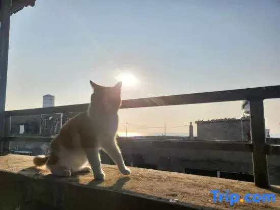 Pingtan MEOW Marcia Holiday Hostel (Aoqian Branch)