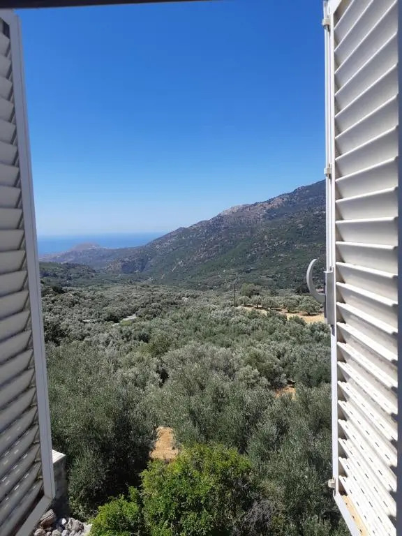 view home