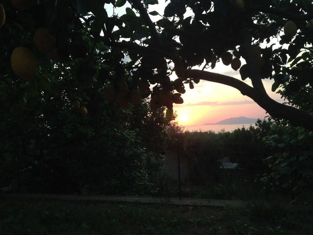 Hotel Al Mulino - Mediterranean Garden Retreat in AnaCapri