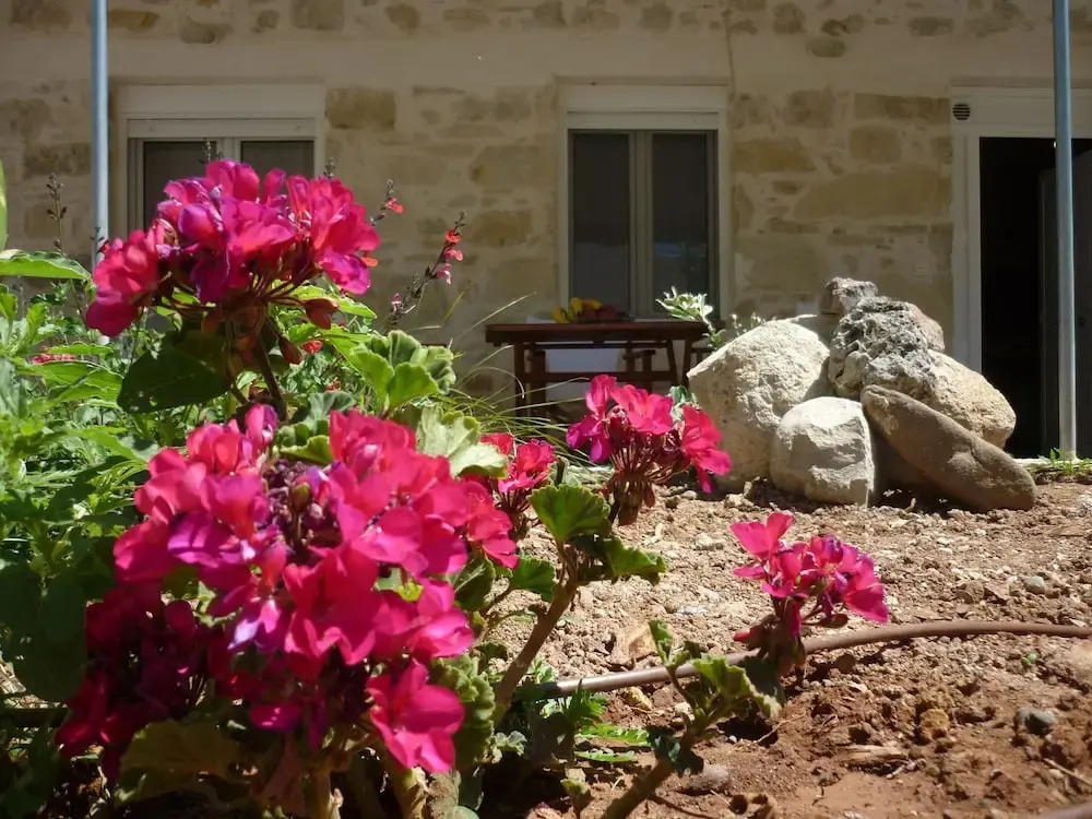 Zeus Traditional House