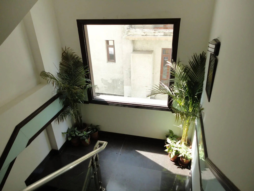 Hotel Divine Paradise