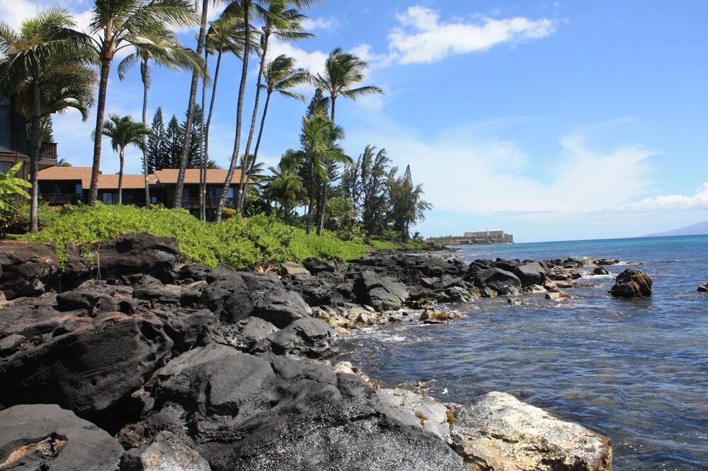 Lower Honoapiilani Condo #208 2 Bedrooms 2 Bathrooms Condo