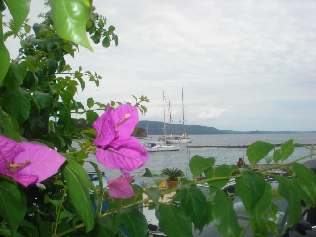 Davor - 20m From sea - A1