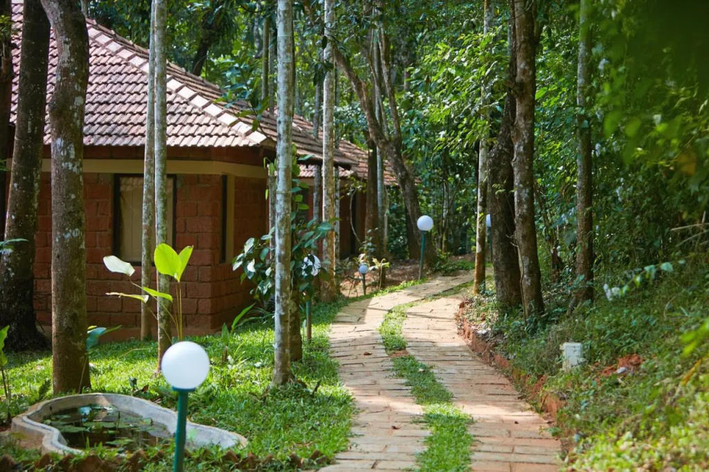 Raindrops Resorts Wayanad