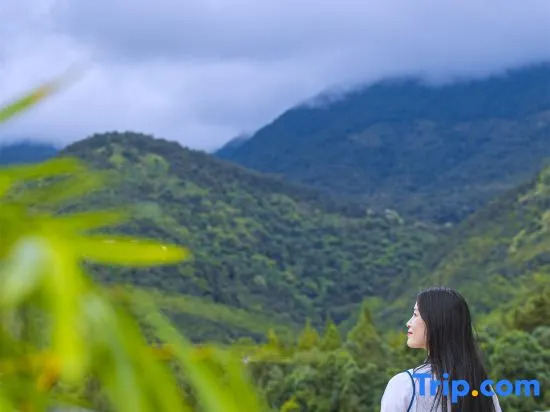 Binchuan chicken foot mountain sit forget one courtyard