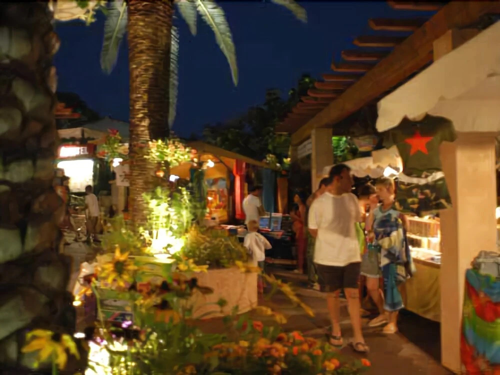 Douce Quiétude - Campsite