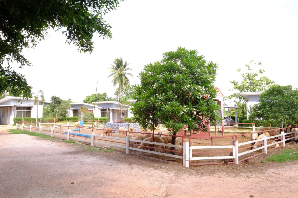Sixty Nine Resort