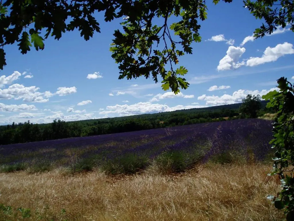 Le Grangeon
